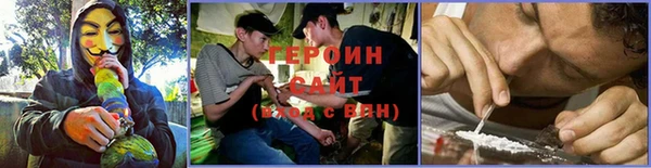 гидра Алексеевка