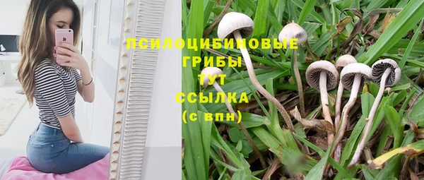 а пвп мука Абдулино