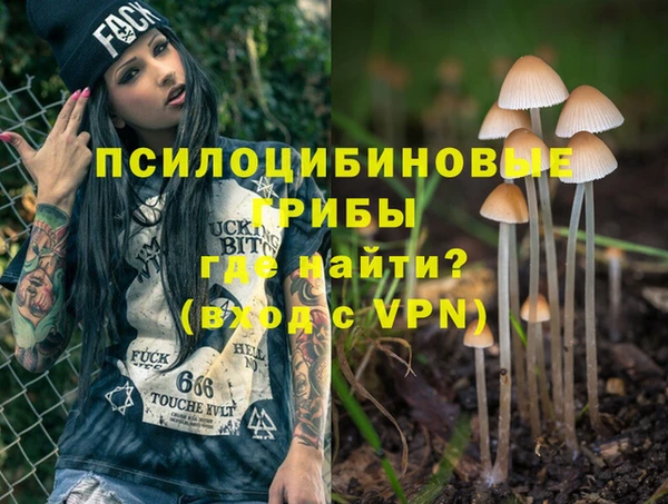гашик Абинск