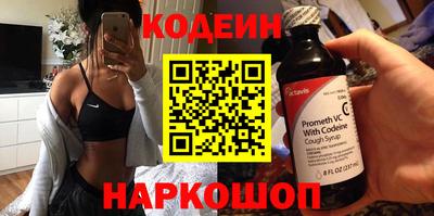 индика Гатчина