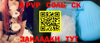 индика Гатчина