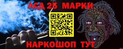 индика Гатчина