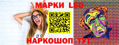 индика Гатчина
