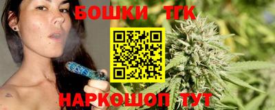 индика Гатчина