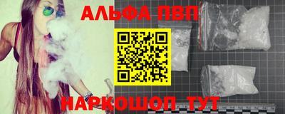индика Гатчина