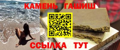 индика Гатчина