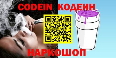 индика Гатчина