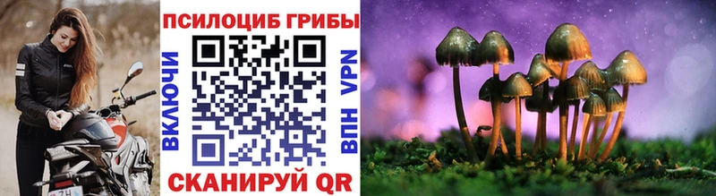 MEGA маркетплейс  Лысьва  Псилоцибиновые грибы мицелий 