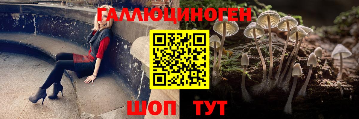 Галлюциногенные грибы Psilocybe  Вход с VPN  Лысьва 